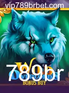 Descubra o Mundo Emocionante de WildOverlordsBonusBuy no Universo 789br
